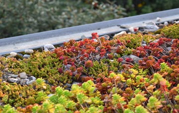 the cost of Eastville green roof installation