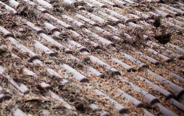 Eastville roof cleaning companies